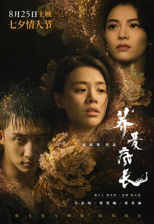 定制高仿都优维尔学院文凭毕业证